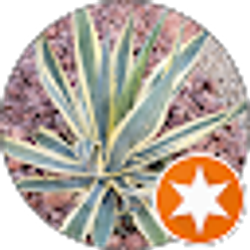 Profile photo of JP M