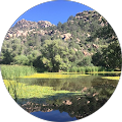 Profile photo of Vicki Reber