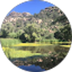 Profile photo of Vicki Reber