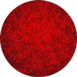 Profile photo of John Rogers