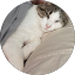 Profile photo of CASANOVA AUTOMOTRIZ