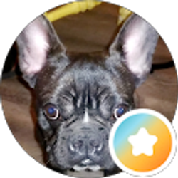 Profile photo of Teo Norsa