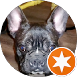Profile photo of Teo Norsa