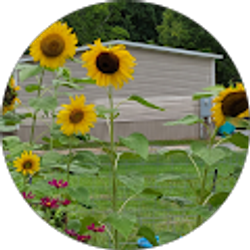 Profile photo of Courtney Bieber