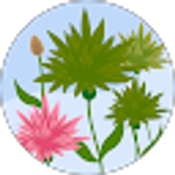 Profile photo of Kristina Alivarez
