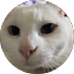 Profile photo of Sokpaulla Eang