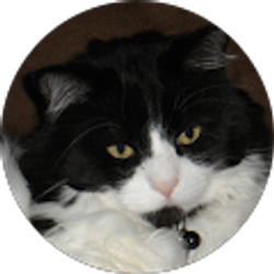 Profile photo of Jim Craig