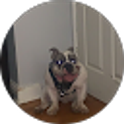 Profile photo of Nicholas North