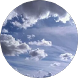 Profile photo of Carmen Jung