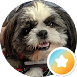 Profile photo of Tammy Rowden