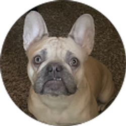 Profile photo of Aaliyah Lacour