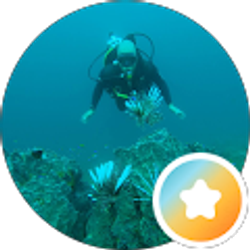 Profile photo of Juan Pablo Bermudez Manjarres
