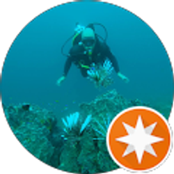 Profile photo of Juan Pablo Bermudez Manjarres