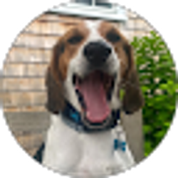 Profile photo of Ben Flamand