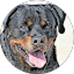 Profile photo of Christy Webb