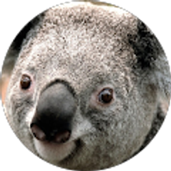 Profile photo of KIMBERLY MCRITCHIE