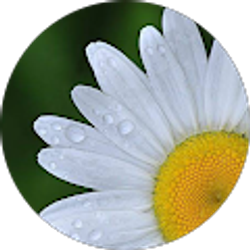 Profile photo of Mariah Carrasco