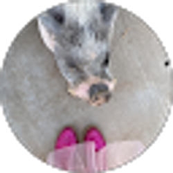 Profile photo of Shoshannah Landis