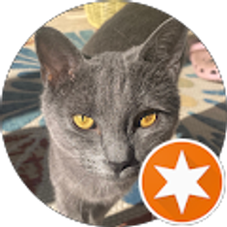 Profile photo of Wednesday E