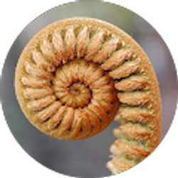 Profile photo of Amy Butcher