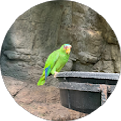 Profile photo of Marco pa Santos