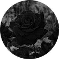 Profile photo of Sadie Hildebrand