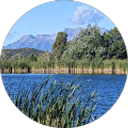 Profile photo of Dawn Day