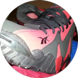 Profile photo of Brandon Becerril