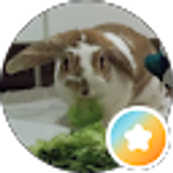 Profile photo of Elana R