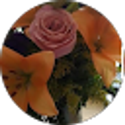 Profile photo of Debra Wallace