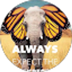 Profile photo of Barbie Rounds