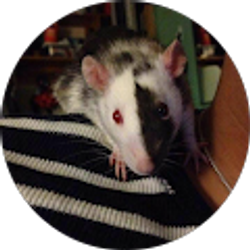 Profile photo of Zephyr