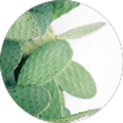 Profile photo of Mimi