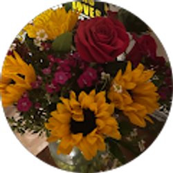 Profile photo of Eneri Gutierrez