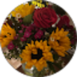 Profile photo of Eneri Gutierrez