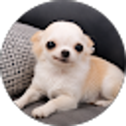 Profile photo of Jay