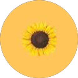 Profile photo of Jaeana Sabally