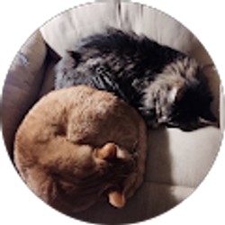 Profile photo of Jan Bruce