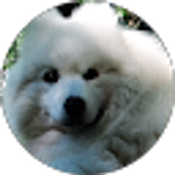 Profile photo of tad hryniewicz
