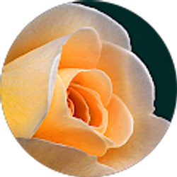 Profile photo of Zoe Zapf