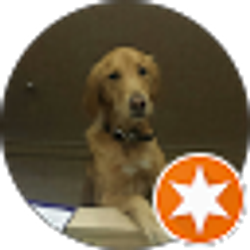 Profile photo of Ruben Chen