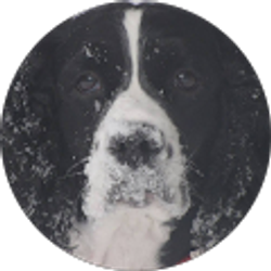 Profile photo of Rhea Walker