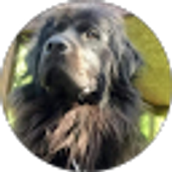Profile photo of Brian McGrath