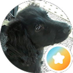 Profile photo of Cathy Errion