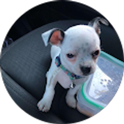 Profile photo of Kathy Aca