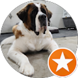 Profile photo of T G