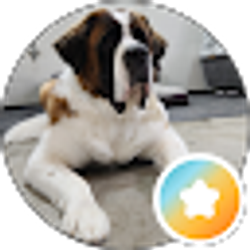 Profile photo of T G