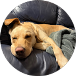 Profile photo of Ashley Duley