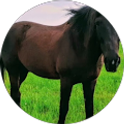 Profile photo of Veronica Hammond