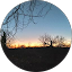 Profile photo of Stephen M
